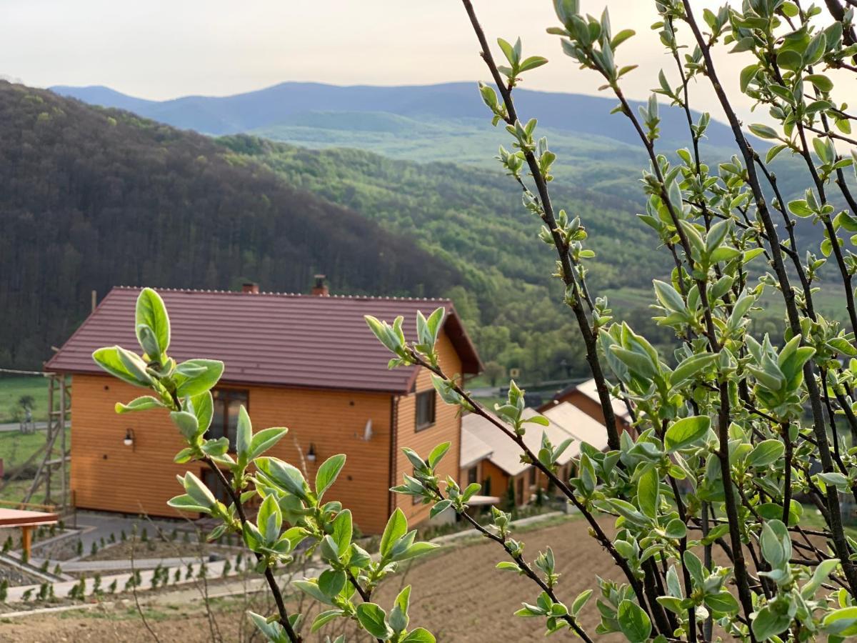 Апартаменты Solnce Karpat Polyana  Extérieur photo
